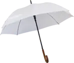 Guarda-chuva